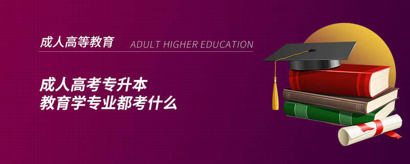 成人高考專(zhuān)升本教育學(xué)專(zhuān)業(yè)都考什么