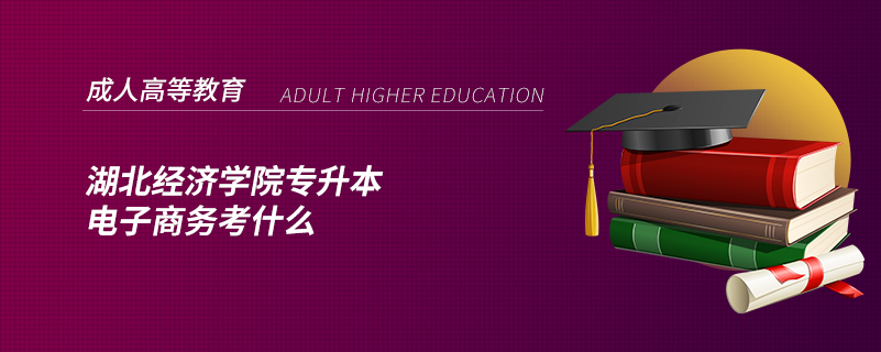 湖北經(jīng)濟學(xué)院專升本電子商務(wù)考什么