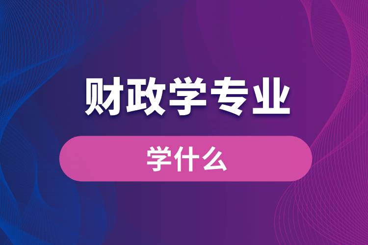財(cái)政學(xué)專業(yè)學(xué)什么