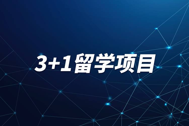 3+1留學(xué)項(xiàng)目