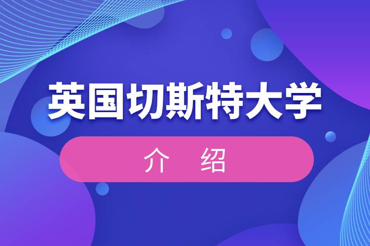 英國(guó)切斯特大學(xué)介紹