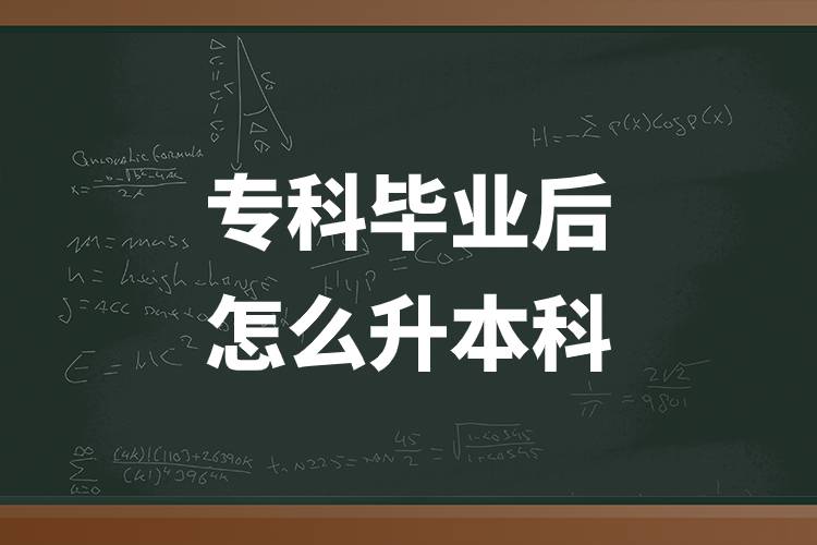 ?？飘厴I(yè)后怎么升本科.jpg