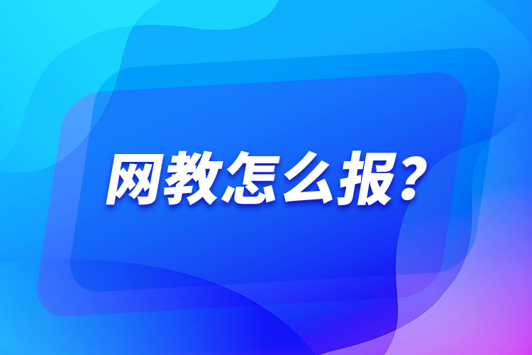 網(wǎng)教怎么報(bào)？