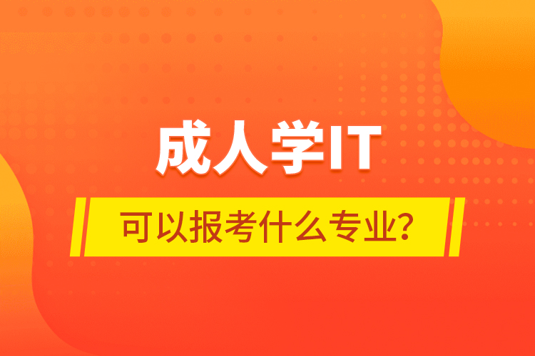 成人學(xué)IT可以報考什么專業(yè)？