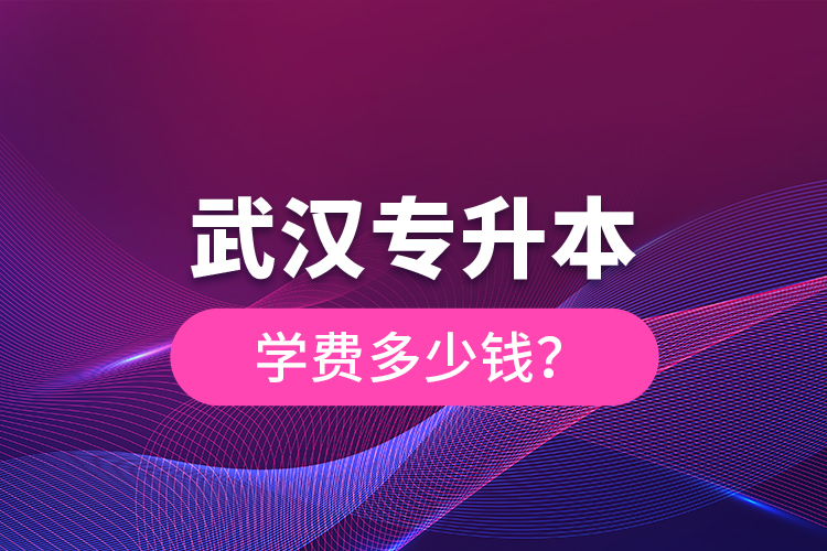 武漢專升本學(xué)費(fèi)多少錢？