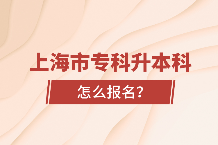 上海市?？粕究圃趺磮竺? /></p></div>
                    <div   id=