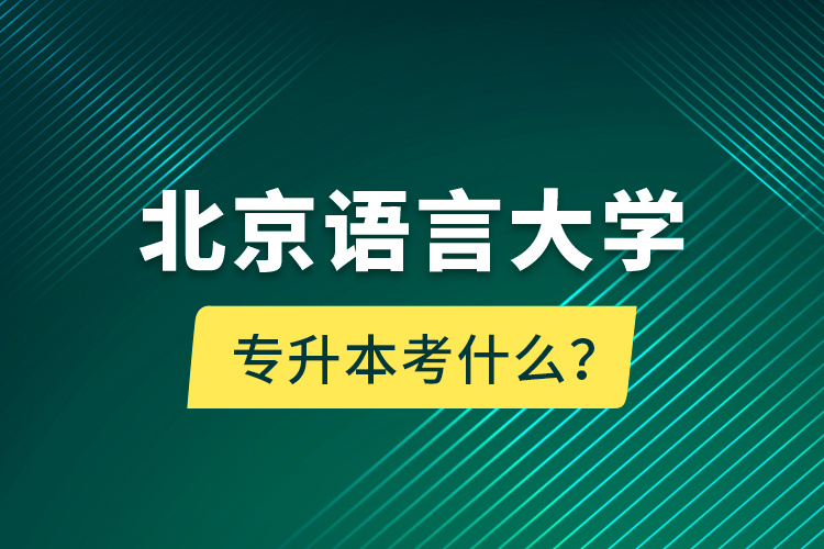 北京語言大學專升本考什么？