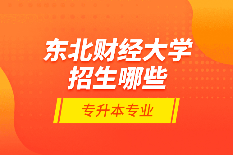 東北財經(jīng)大學(xué)招生哪些專升本專業(yè)？