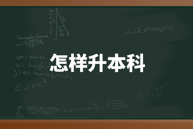 怎樣升本科?