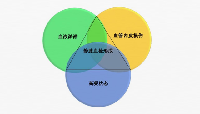 沉默殺手 VTE，如何進行抗凝治療？三問搞懂