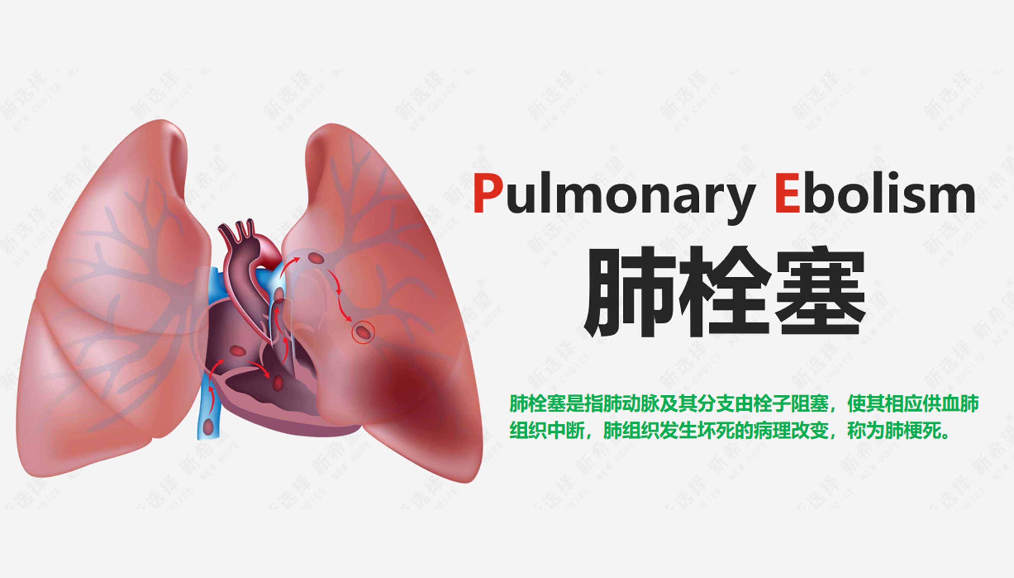 詩和遠(yuǎn)方 讓健康與靈魂共享