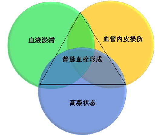 沉默殺手 VTE，如何進行抗凝治療？三問搞懂