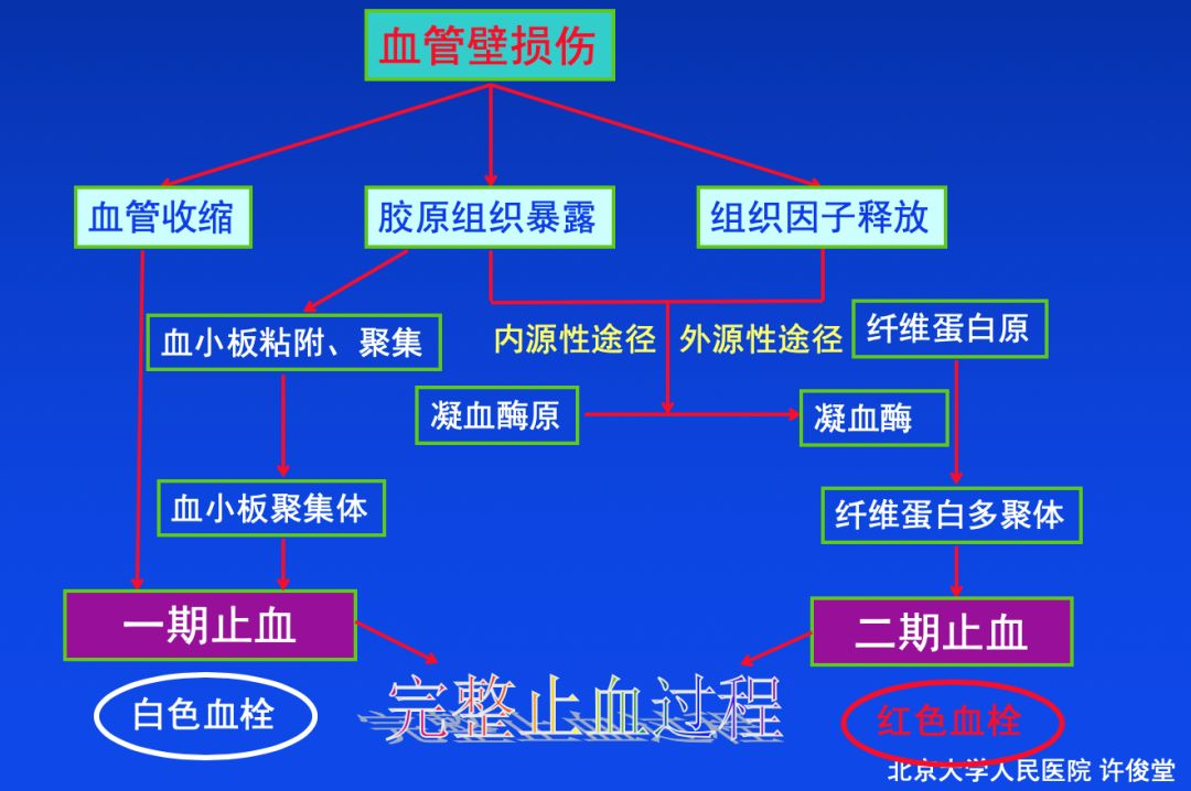 血栓形成，三個要素細分說