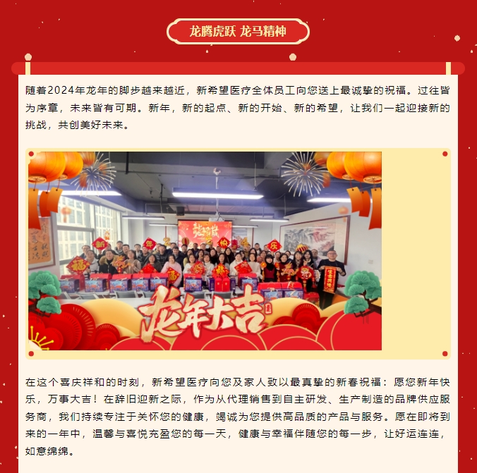 龍嘯新春，共赴新程